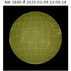saia - 2025-02-09T22:00:14.126000
