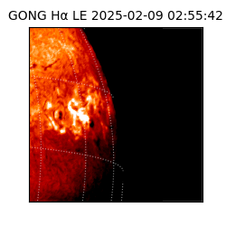 gong - 2025-02-09T02:55:42