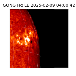 gong - 2025-02-09T04:00:42