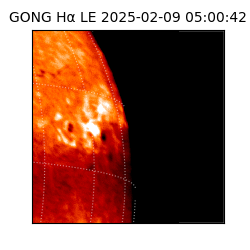 gong - 2025-02-09T05:00:42