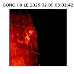 gong - 2025-02-09T06:01:42