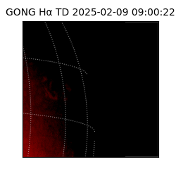 gong - 2025-02-09T09:00:22