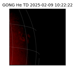 gong - 2025-02-09T10:22:22