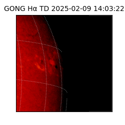 gong - 2025-02-09T14:03:22