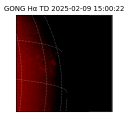 gong - 2025-02-09T15:00:22
