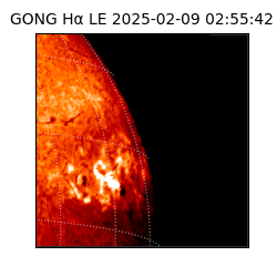 gong - 2025-02-09T02:55:42