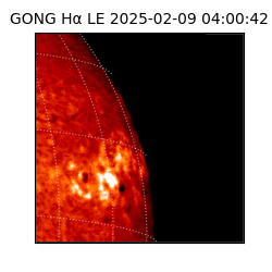 gong - 2025-02-09T04:00:42