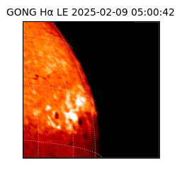 gong - 2025-02-09T05:00:42