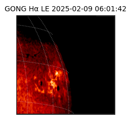 gong - 2025-02-09T06:01:42