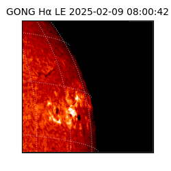 gong - 2025-02-09T08:00:42