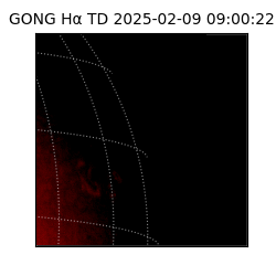 gong - 2025-02-09T09:00:22