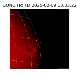 gong - 2025-02-09T13:03:22
