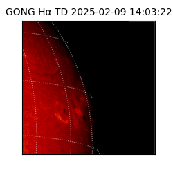 gong - 2025-02-09T14:03:22