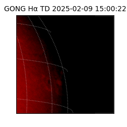 gong - 2025-02-09T15:00:22
