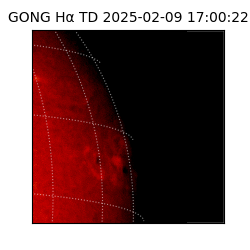 gong - 2025-02-09T17:00:22