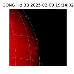 gong - 2025-02-09T19:14:02