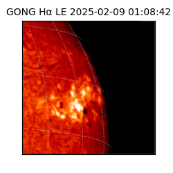 gong - 2025-02-09T01:08:42