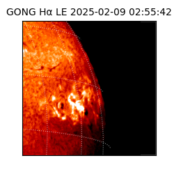 gong - 2025-02-09T02:55:42