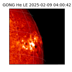 gong - 2025-02-09T04:00:42