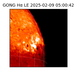 gong - 2025-02-09T05:00:42