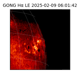 gong - 2025-02-09T06:01:42