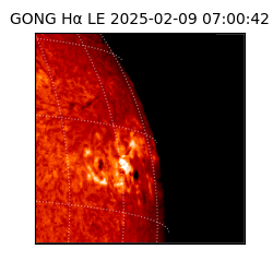gong - 2025-02-09T07:00:42