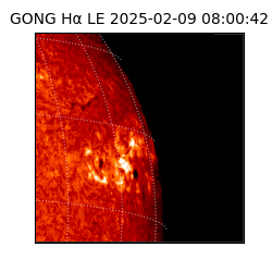 gong - 2025-02-09T08:00:42