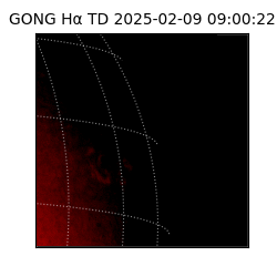 gong - 2025-02-09T09:00:22