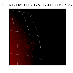 gong - 2025-02-09T10:22:22