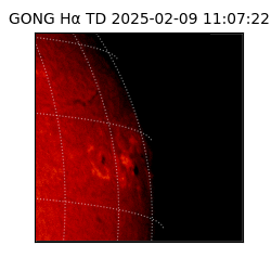 gong - 2025-02-09T11:07:22