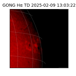 gong - 2025-02-09T13:03:22