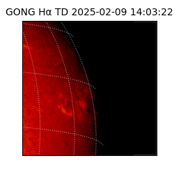 gong - 2025-02-09T14:03:22
