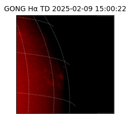 gong - 2025-02-09T15:00:22