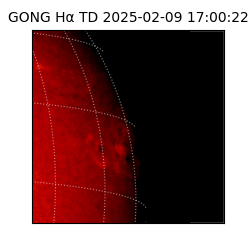 gong - 2025-02-09T17:00:22