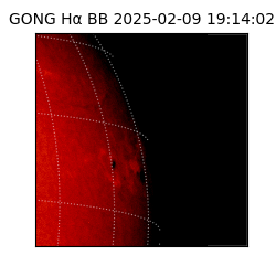 gong - 2025-02-09T19:14:02