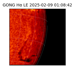 gong - 2025-02-09T01:08:42