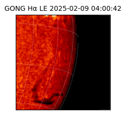 gong - 2025-02-09T04:00:42