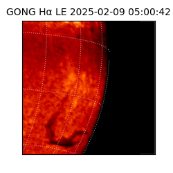 gong - 2025-02-09T05:00:42