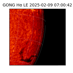 gong - 2025-02-09T07:00:42