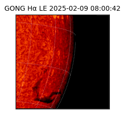 gong - 2025-02-09T08:00:42
