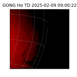 gong - 2025-02-09T09:00:22