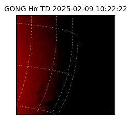 gong - 2025-02-09T10:22:22