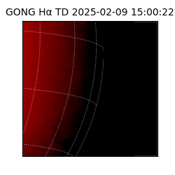 gong - 2025-02-09T15:00:22