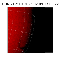 gong - 2025-02-09T17:00:22