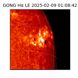 gong - 2025-02-09T01:08:42