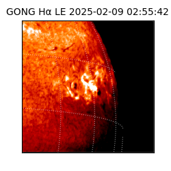 gong - 2025-02-09T02:55:42