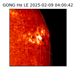 gong - 2025-02-09T04:00:42