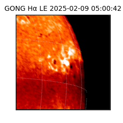 gong - 2025-02-09T05:00:42