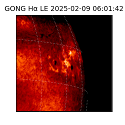 gong - 2025-02-09T06:01:42