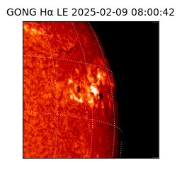 gong - 2025-02-09T08:00:42